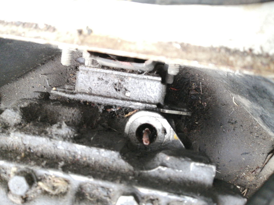 IMG_20210726_143604_BURST001_COVER