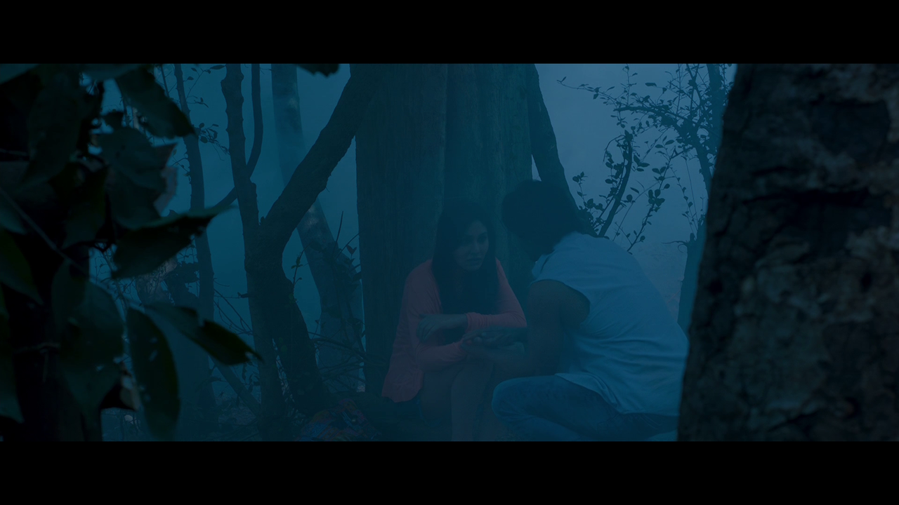 vlcsnap 2026 02 27 19h25m28s889