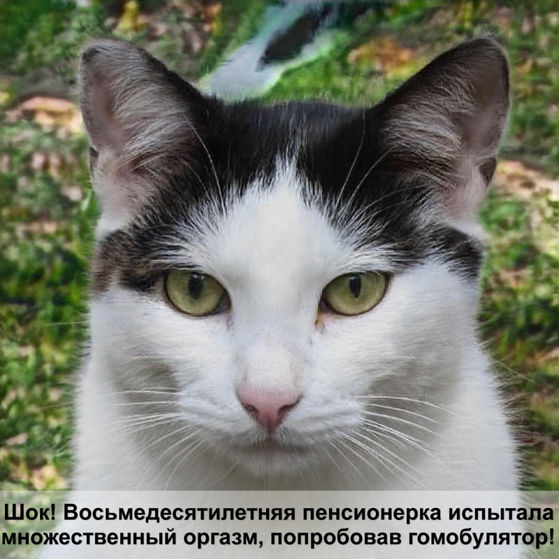 кормушка для кошек своими руками