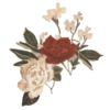 https://i.postimg.cc/9fVMH8kv/Aesthetic-Flowers-PNG-Image.png