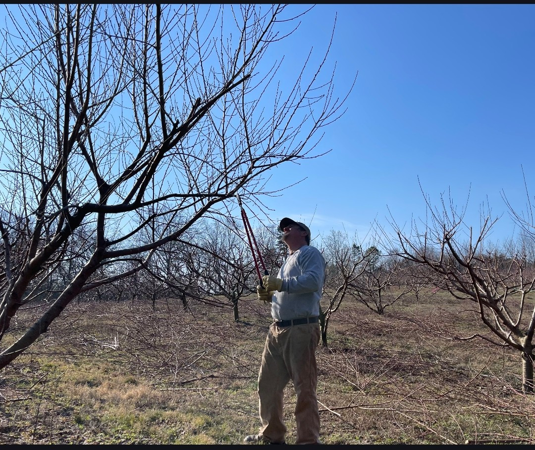 Screenshot 20260130 185752 Messages