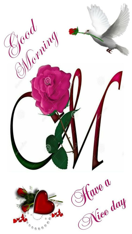 Rosa-good-morning