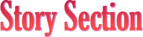 Story Section