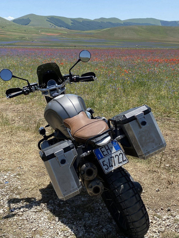 7B49B2D1-5A9C-4601-8B41-8B0E6C6445F6