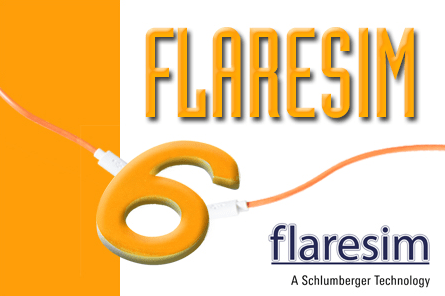 Schlumberger Flaresim v6.0.0.64