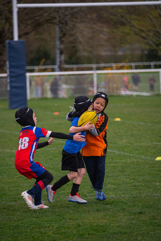 tournoi-de-latlantique-2026-adonis-griffon-130-55181456223-l