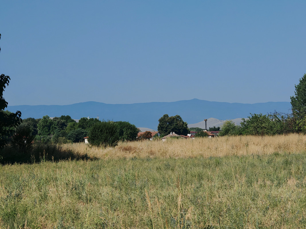 IMG_20240812_094459