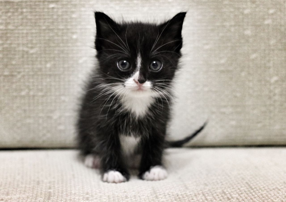 34CF69BD-EC5B-4982-A2EA-6D40341D7F18