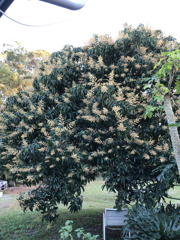 E52810DC-72E4-4DD3-A897-D3A75FC7DD25