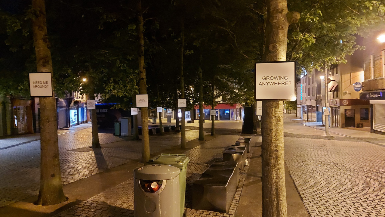 20210806-045656.jpg