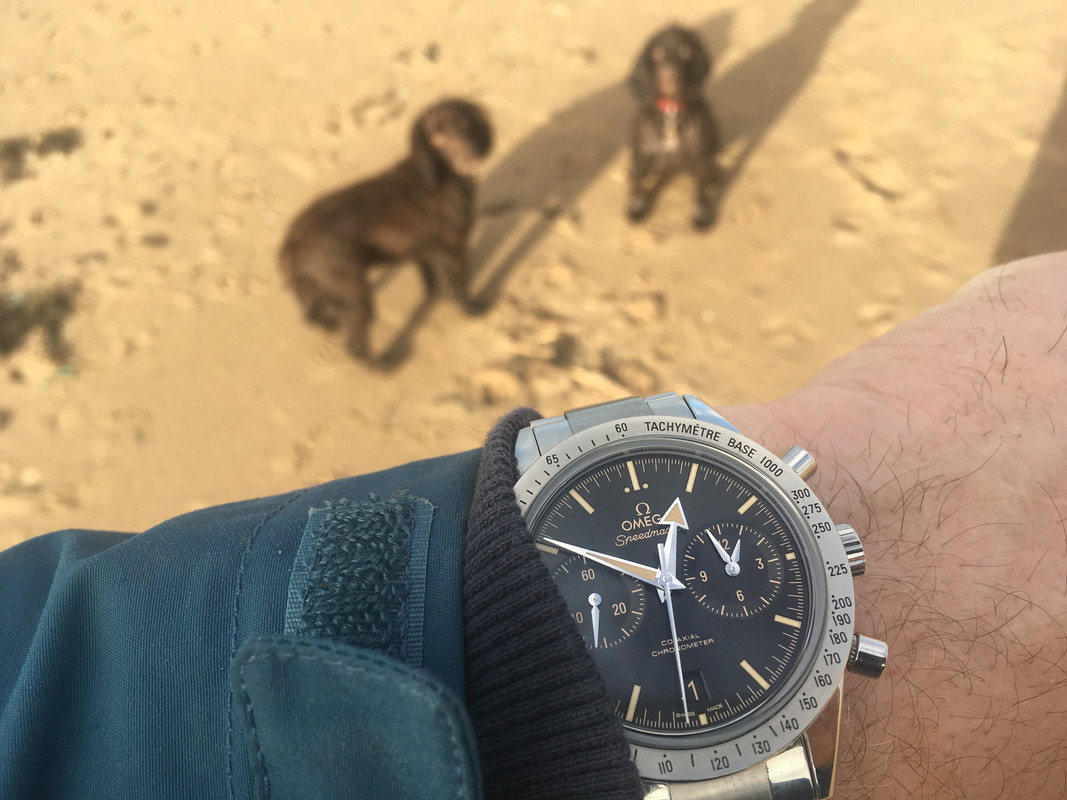 B4A5F2EE-BAA8-4B3E-9637-D5DB4A02BA2C