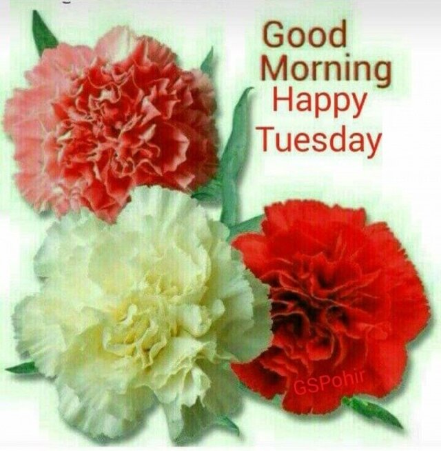 An den Beitrag angehängtes Bild: https://i.postimg.cc/9fWk1QXk/oie-1974925d7-MMYscq.jpg