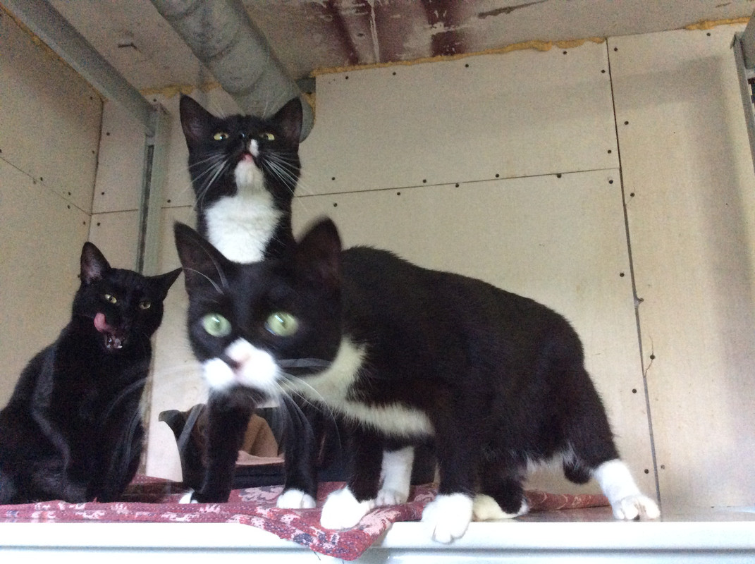 9D54210E-448F-4199-ACE7-DC5E866BAFB3