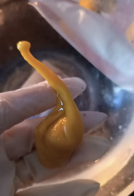 6755120B-9D41-443F-8C3B-FAFAF37222F3