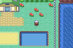 the area next to bill's house. there is a triangular formation of three flowers.