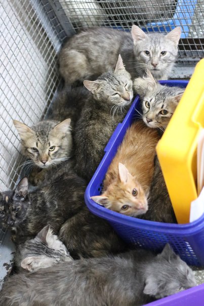 C2A86960-3256-4AD2-97BC-3BEBBD00886E