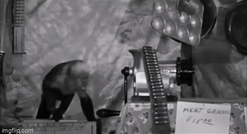 Three-Stooges-Monkey-And-AMeat-Grinder-With-Ammo.gif