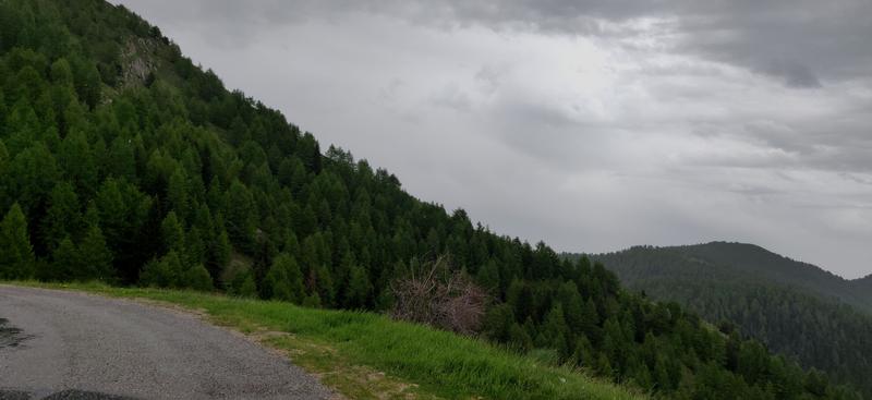 IMG_20190609_144905.jpg.1