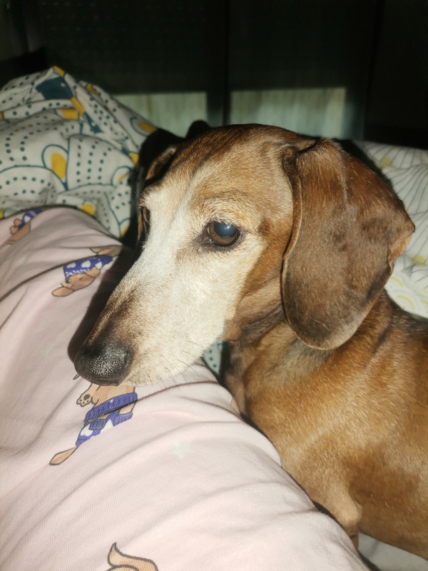 [Image: IMG-20240528-205400.jpg]