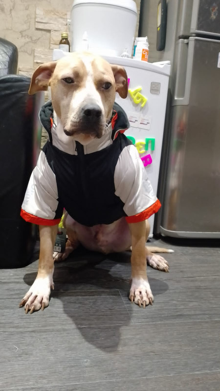 217DDB66-4856-457D-AE3E-FFADEA9D2F8F