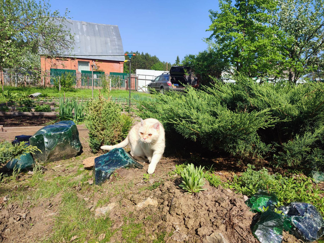 IMG_20230605_220047_638