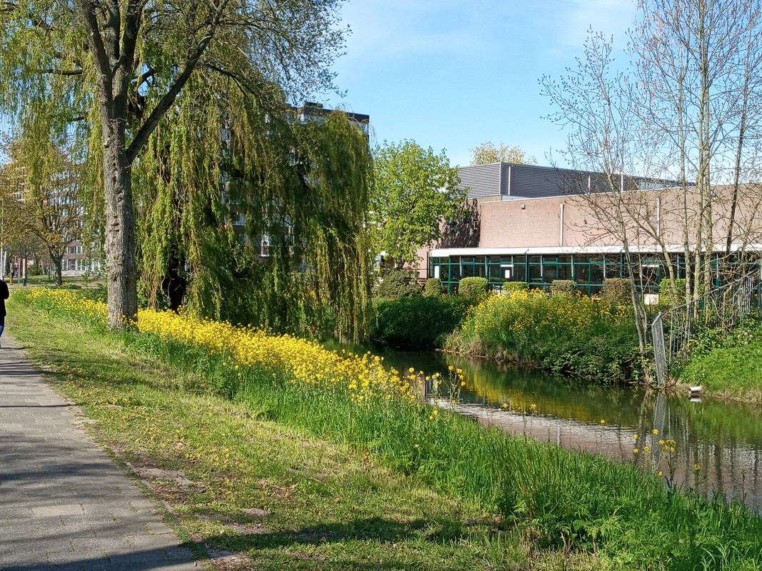 [Image: 20210426-154303.jpg]