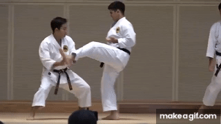 BUNKAI_of_Shorin_ryu_SEIBUKAN_Learn_what_KATA_means_The_1st_Karate_day (1)