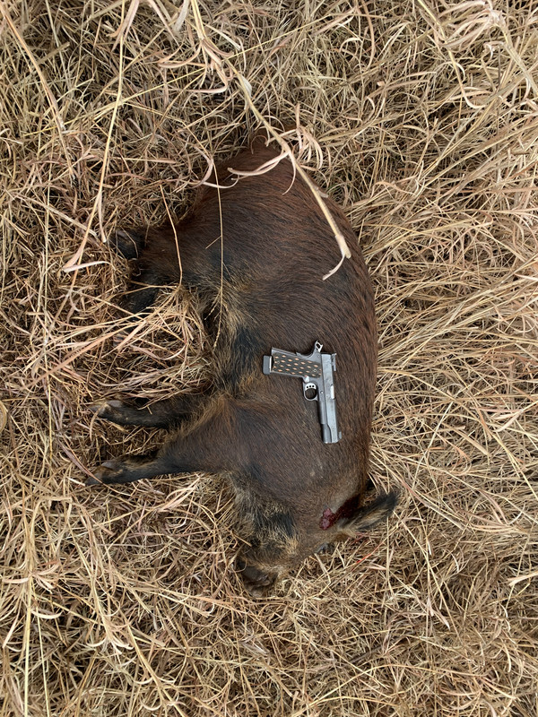 C2A68EF8-F40D-4808-8C80-B7EF721062DA