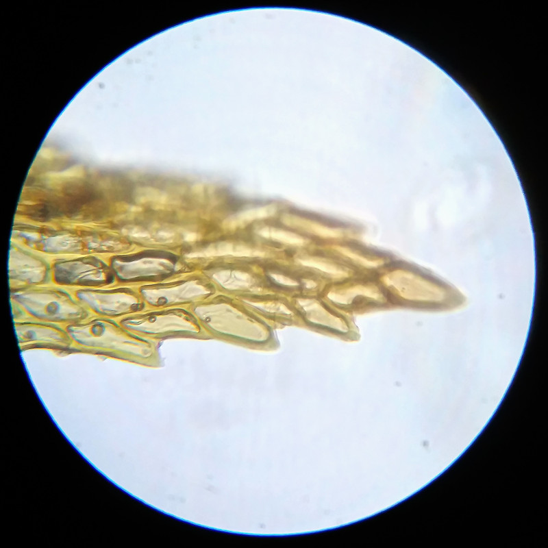 IMG 20250614 112344 HDR