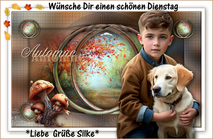 An den Beitrag angehängtes Bild: https://i.postimg.cc/9fYmbq2H/22zzdvd.jpg