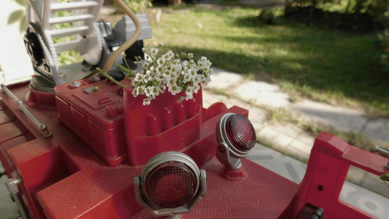 Август дачный кукольный 2023 424