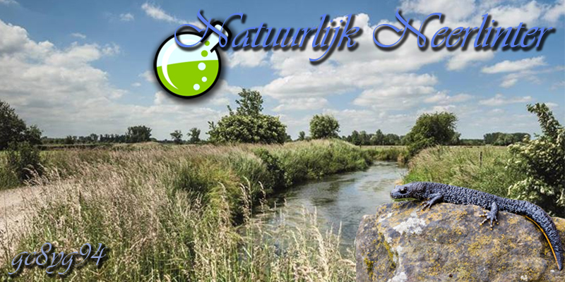 Natuurlijk Neerlinter