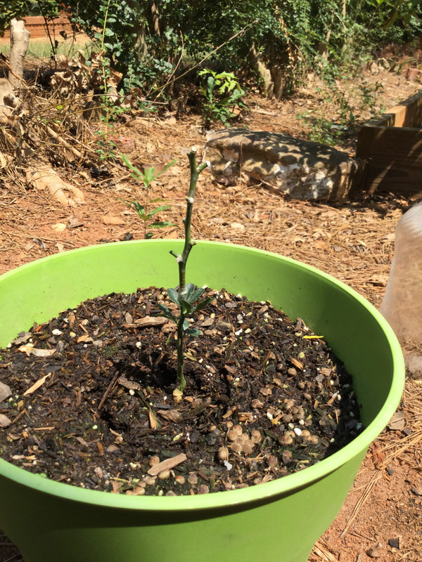 60E741AF-17C4-42FC-8516-3ABE0E1FB5B4