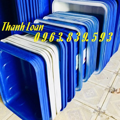Thùng nhựa chữ nhật 500lit, thùng nuôi cá, đựng nước rẻ toàn quốc / 0963.839.593 Ms.Loan Thung-nuoi-ca-canh-be-nhua-nuoi-ca-khay-trong-rau