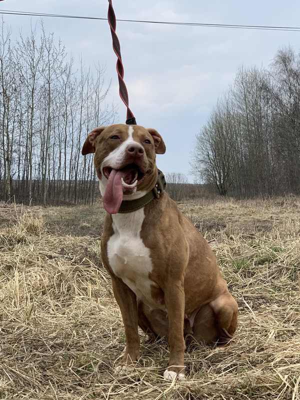 image-09-04-23-05-38-2 (1)_edit_606107081788243