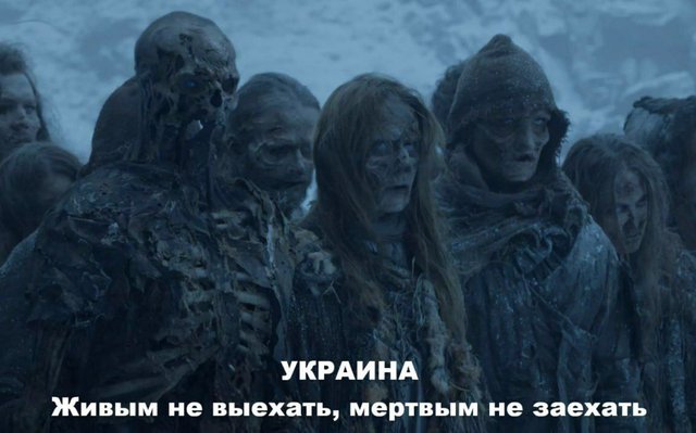 https://i.postimg.cc/9fZXhfMr/IMG-2440.jpg