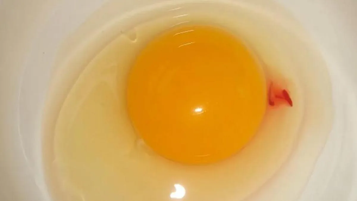 Esto debes hacer si salen manchas rojas en el huevo
