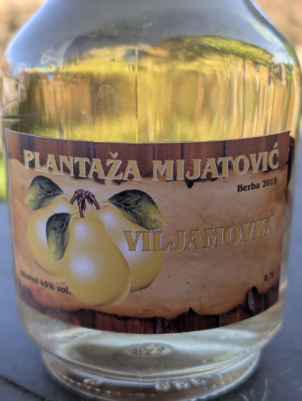 PXL 20260405 151829373 PORTRAIT