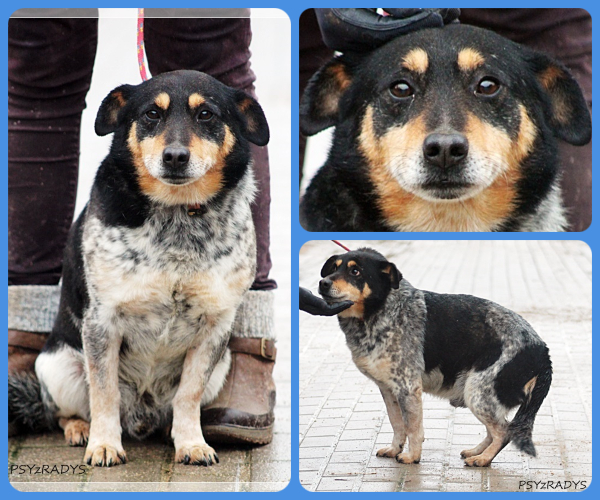 BeFunky-collage (15)