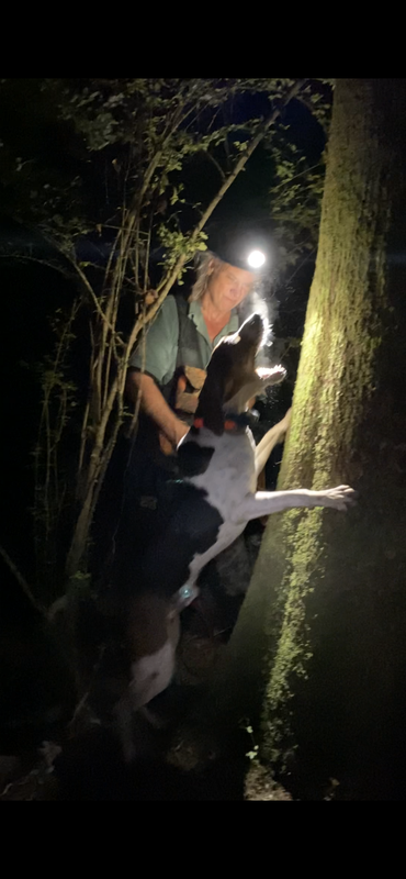 FD0EF538-BF8C-44C6-B863-C911959A22FA