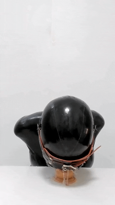 Image Title