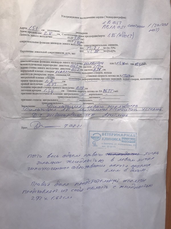 BA0CDBD9-E737-4B11-813E-61A306DD6649