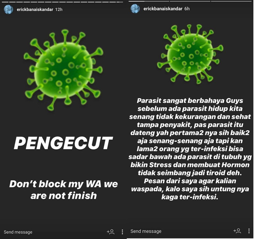 Unggahan Instagram Story Erick Bana Iskandar.