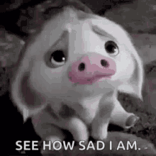 IMG-0514.gif