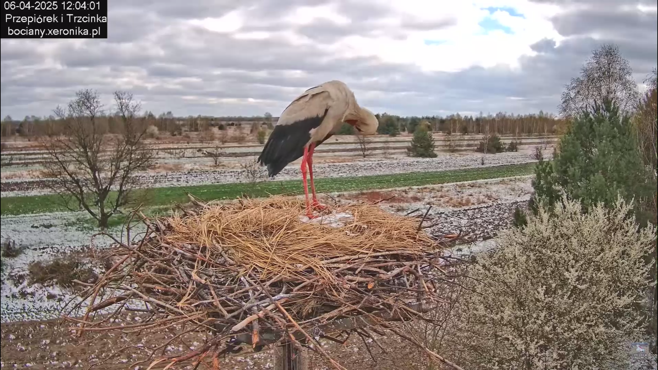 06042025minutazbocianem_15
