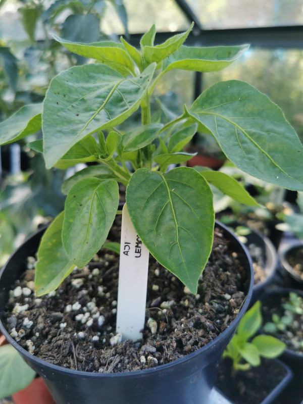 WhatsApp Image 2021-05-23 at 10.35.58 (2)