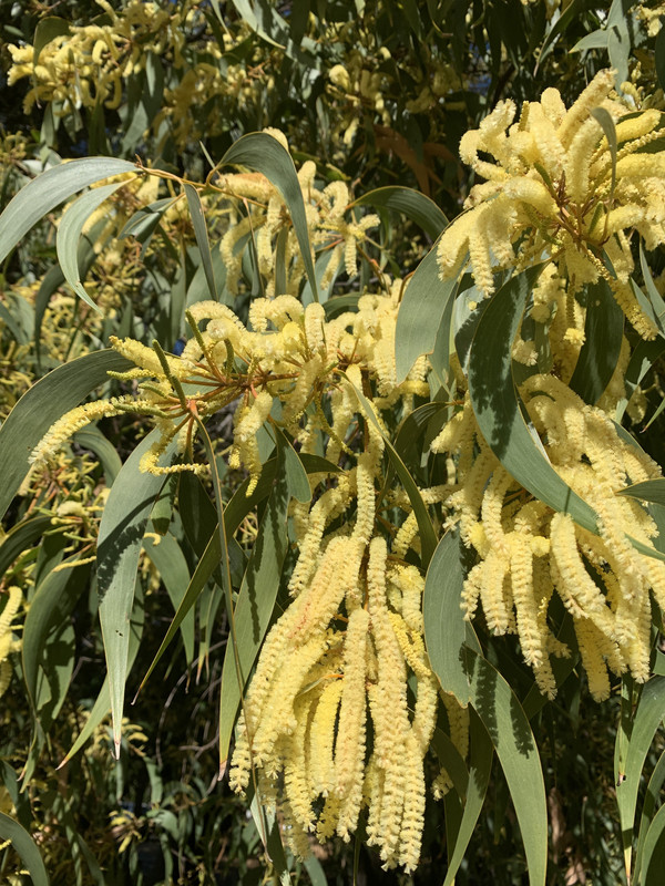 C1C4D0A6-D640-483E-9EE8-04FA82632BCA