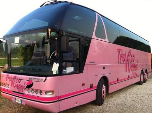 NEOPLAN 54 POSTI