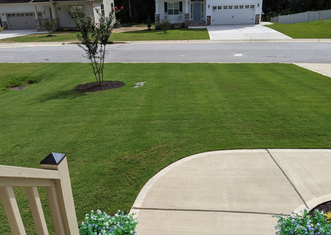 PXL_20200916_152754371.MP