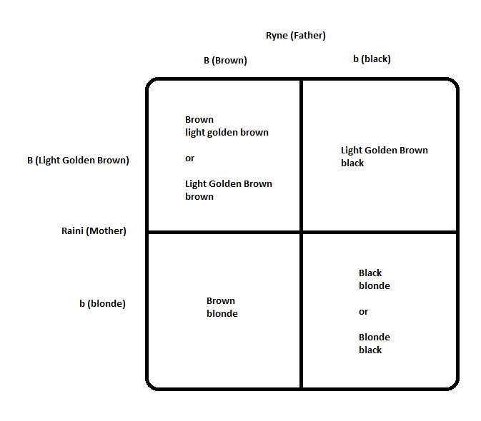 Ryne-Raini-possible-genotypes2.png